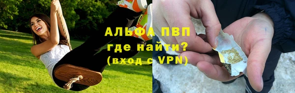 стаф Баксан