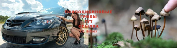 стаф Баксан