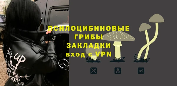 стаф Баксан